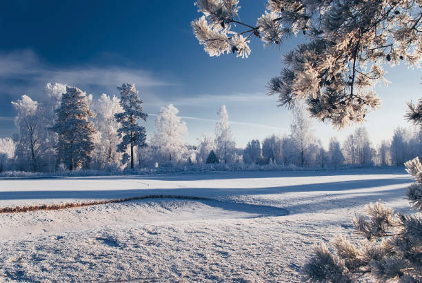 A cold winter landscape seen in Sweden.