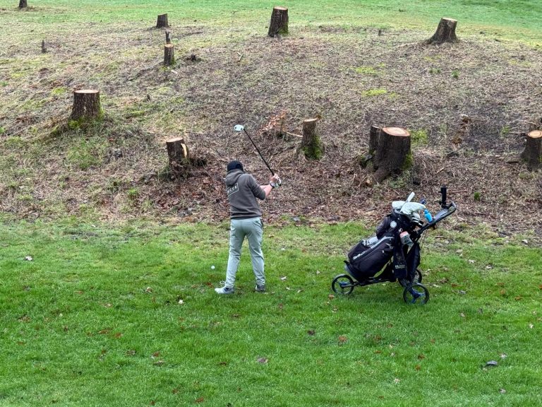 Ollies 2nd Shot at 12